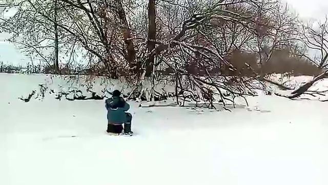 Норка попрашайка. смотреть онлайн