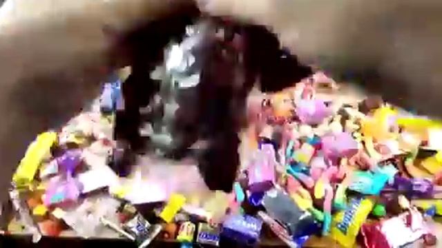 A lot of candy, очень много конфет смотреть онлайн