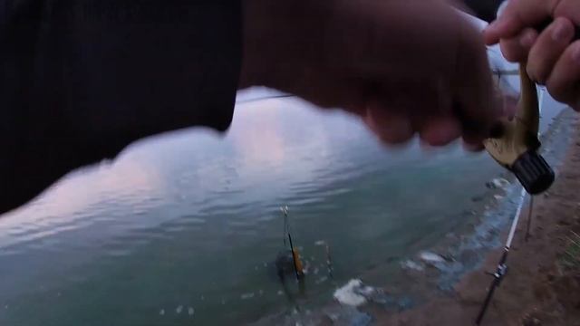 КАРП НА КУКУРУЗУ\ХОРОШИЙ КЛЕВ\КЫЗЫЛТАН\Рыбалка 2020 Казахстан Кокшетау смотреть онлайн