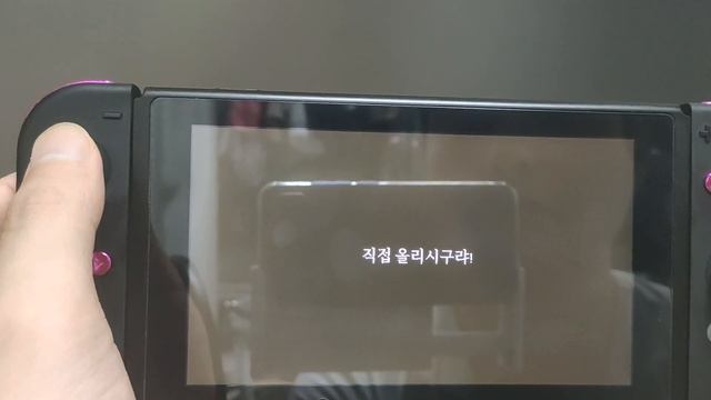 스위치 SkyNX 원격 스트리밍 플레이 테스트