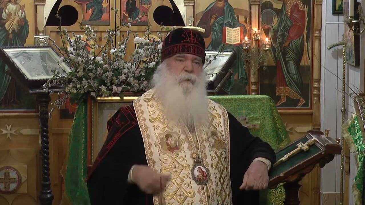Проповедь к верующим перед Исповедью 09_04_23 смотреть онлайн