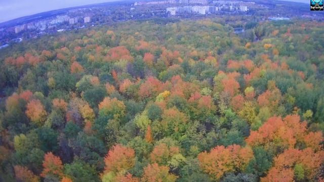 Мордовия. Саранск. Осенний парк Ленинского района. смотреть онлайн