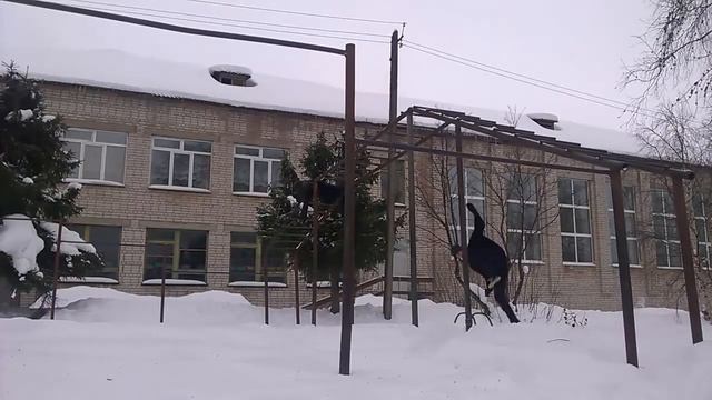 тун-ту-ду-дун Tk & Miki:D смотреть онлайн