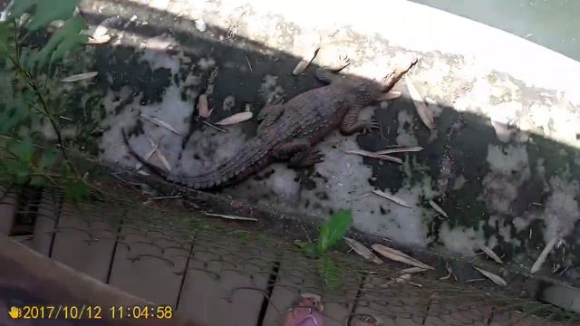 Вьетнам 2017, Ньячанг 🇻🇳 смотреть онлайн