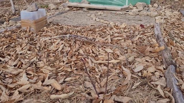 Сад и огород, разбитый на скалистом склоне #участок на склоне #сад на склоне #огород на склоне смотреть онлайн