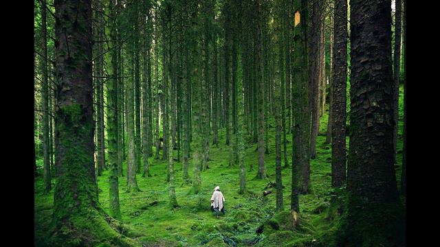 Relaxing Music/Meditation Music/Relax Music/Расслабляющая Музыка/Музыка Для Сна/Успокаивающая Музык смотреть онлайн