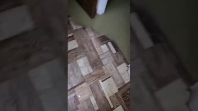 [ Альбом ]
Жители Сочи публикуют кадры последствий разлива реки Мацесты из-за ливней. Мэр города со смотреть онлайн