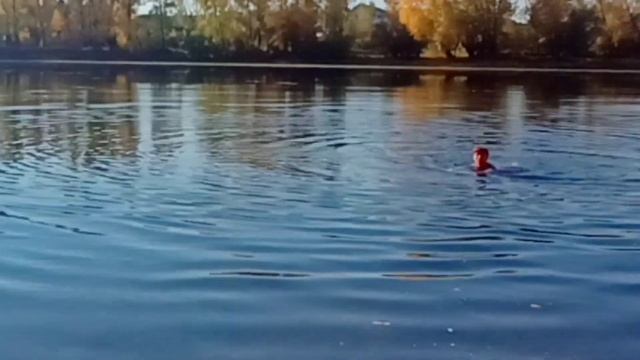 Укрепление иммунитета на реке с сыном Максимом смотреть онлайн