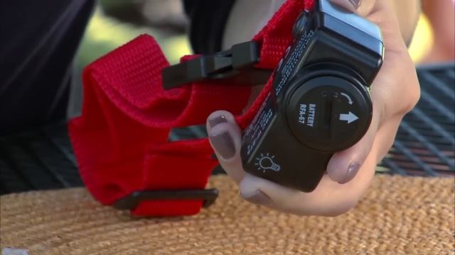 How to Install a PetSafe® Wireless Dog Fence смотреть онлайн
