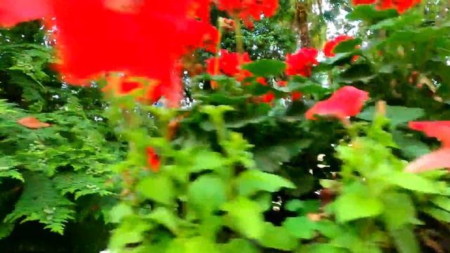 Флешбеки из Bioshock Infinite в Сочи Flashbacks from Bioshock Infinite in Sochi смотреть онлайн