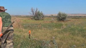 ПРИБОРНЫЙ ПОИСК. КОП МОНЕТ! ДИМОН КУПАЕТСЯ В ДЕНЬГАХ! [САРАТОВ]