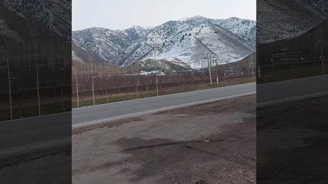 картошка 3,50дирам,ленинободда,1 марта 2023 г. смотреть онлайн