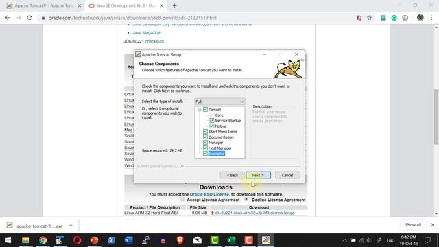 Apache Tomcat - JSP - Servlet - Tomcat9 Installation Service Localhost windows - Video 5 смотреть онлайн