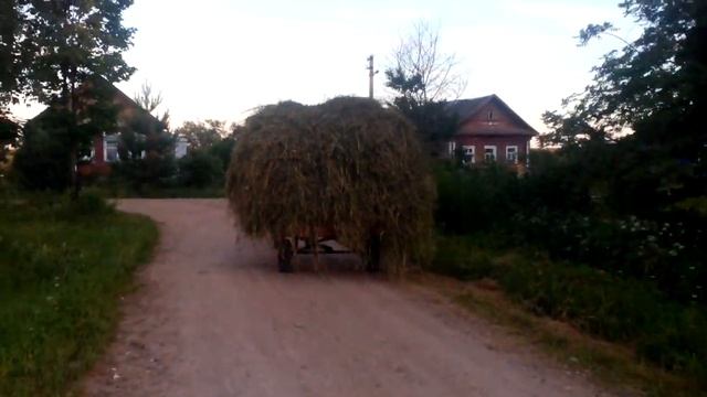 На что способен мотоблок Агат?