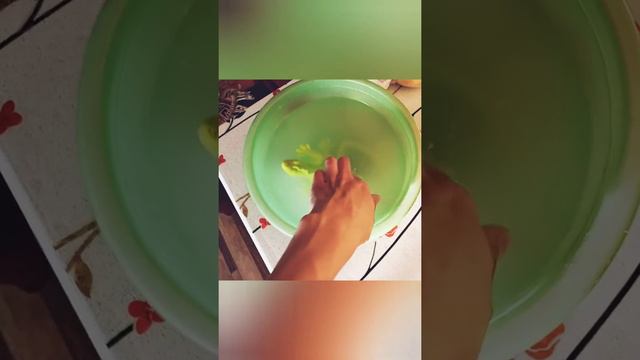 Игрушка в воде растёт 🤪 смотреть онлайн