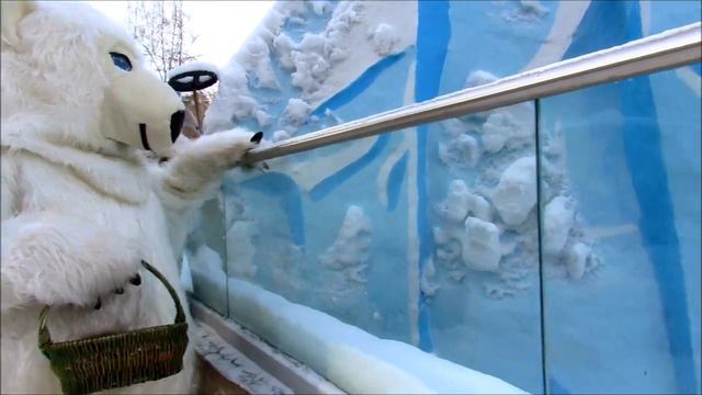 Герда и детки в ожидании праздника. Знакомство с мишкой и барсиком. 14.02.20 г. смотреть онлайн