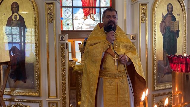 Воскресная проповедь на евангельское чтение. Священник Владимир Чебышев смотреть онлайн