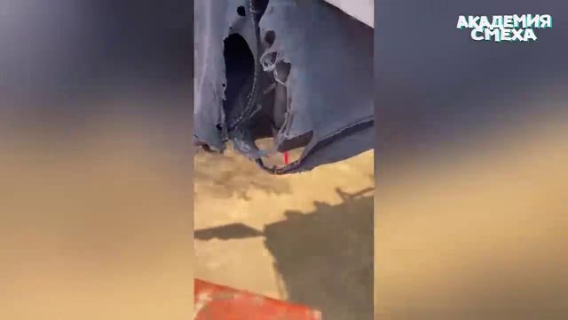 ПОПРОБУЙ НЕ ЗАСМЕЯТЬСЯ, 99.99% ПРОИГРАЮТ #5 / 10 МИНУТ СМЕХА / СМЕШНЫЕ ВИДЕО 2024 смотреть онлайн