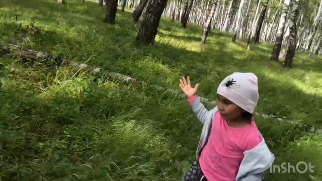 VLOG За грибами с детьми Рязанская область Сынтул смотреть онлайн