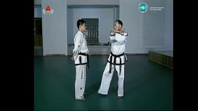 Таэквондо ITF. Сонкаль Тэриги. смотреть онлайн