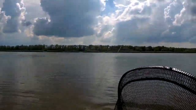 Марьевка. Нерест.Олененок и котенок. Биг этой рыбалки 17кг смотреть онлайн