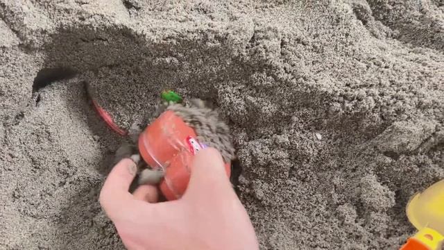 Digging For Cocomelon, Boss Baby With Mini Hearts Slime In Sand - ASRM Slime смотреть онлайн