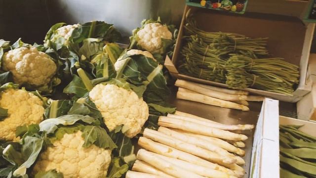 Франция Snami. Часть 1 (Париж, Бульвар Осман, Собор Парижской Богоматери, Лувр) смотреть онлайн