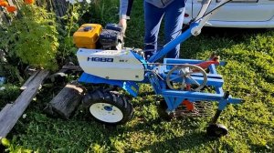 Картофель 2023