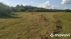 сенокос 2021толкаем сено с волокушей мтз 80