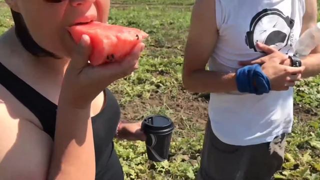 Летние экспедиции федерального проекта "Гастрономическая карта России". Август 2017 смотреть онлайн