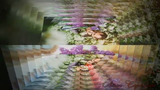 Расцвела сирень.mp4