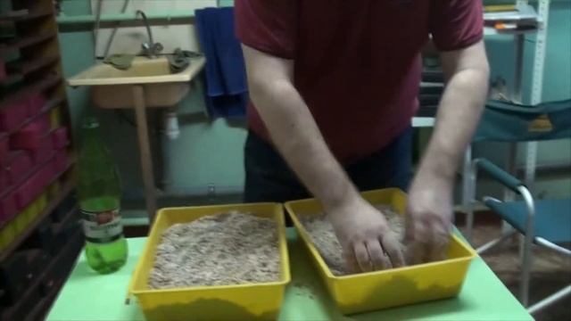 Кладка Тигрового питона 2017. 1 часть смотреть онлайн