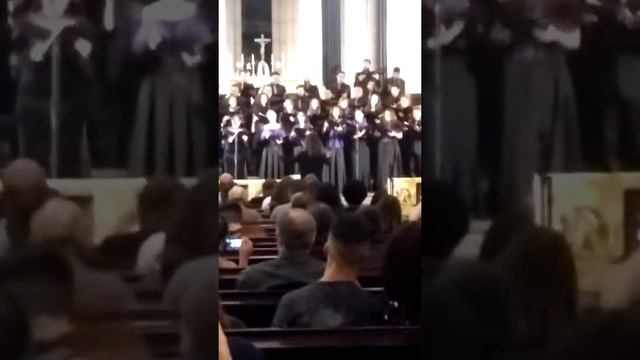 Orquestra Catedral da Sé смотреть онлайн
