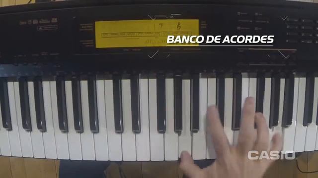 CASIO TECLADOS I CONCEPTUAL CDP 230 смотреть онлайн