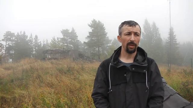 Энциклопедия здоровья собак смотреть онлайн