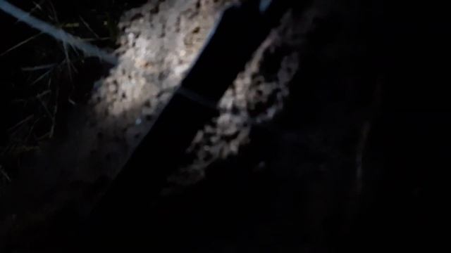 Ночной коп 2019 .Коп ночью #копмонет2019 ночной поиск монет 2019 смотреть онлайн