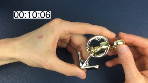 SOLVING THE DOLCE PUZZLE