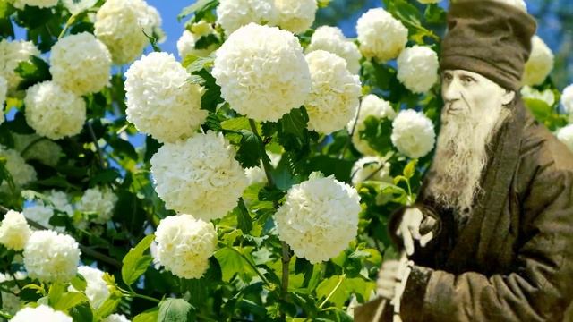 КАК ТВОРИТЬ МИЛОСТЫНЮ?