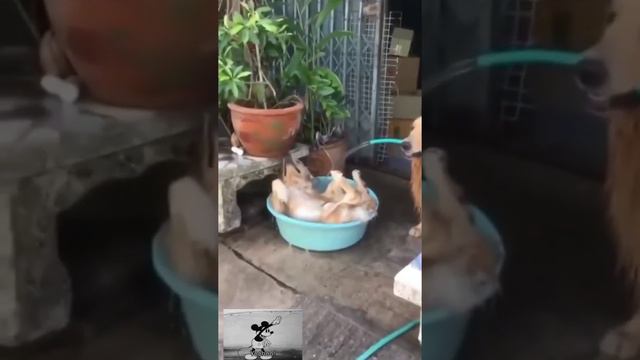 Лето!!! смотреть онлайн