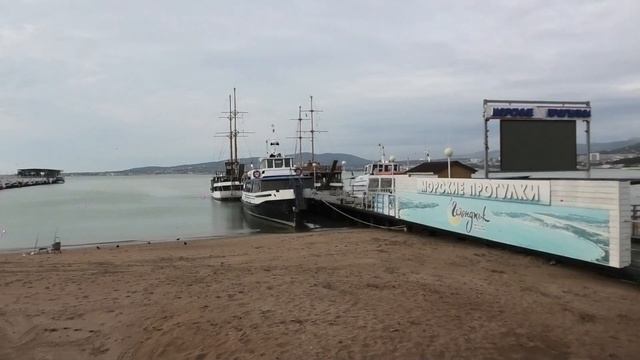 Геленджик Белые лебеди прилетели 28 декабря 2021 к нам на новый год смотреть онлайн