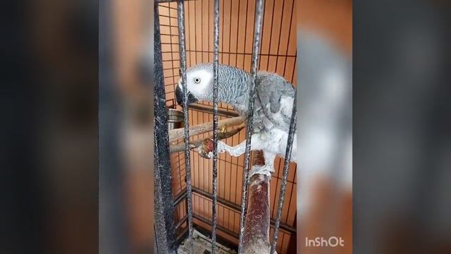 Итоговое занятие смотреть онлайн