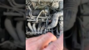 Форд фокус 1 не заводился. Оживление мертвеца.