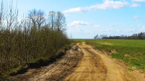 Звуки живой природы: пение жаворонков ранней весной.