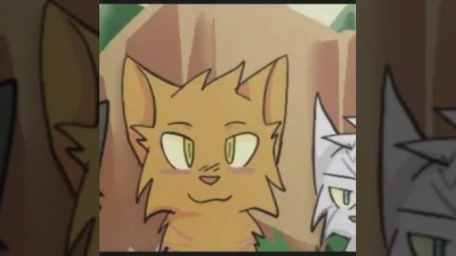 Клип коты воители А он тебя целует. Слайд-шоу :-) смотреть онлайн