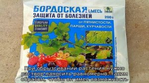 Бордосская жидкость для винограда