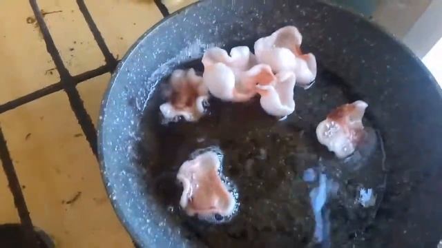 Жарим чипсы из полуфабрикатов. Ready-to-cook chips from china. смотреть онлайн