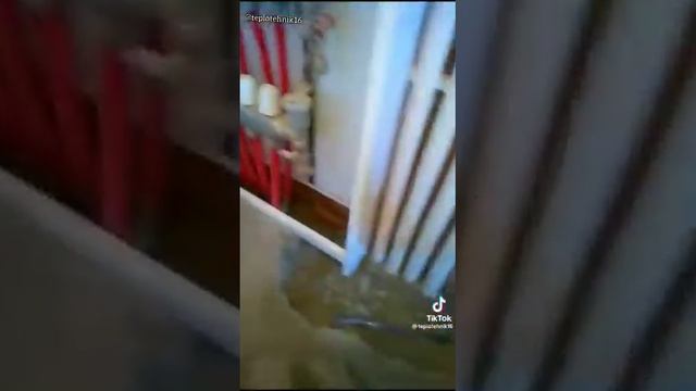Анекдот про цемент))) смотреть онлайн
