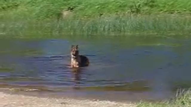 MVI 3631 смотреть онлайн