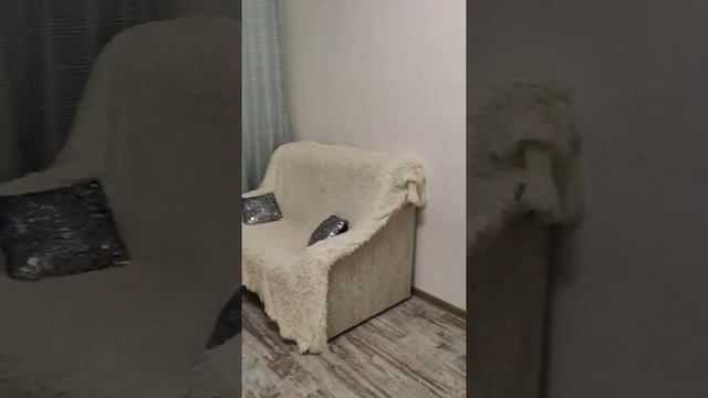 Квартира-студия Кудрово смотреть онлайн