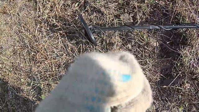 УРА!  СЕРЕБРЯНАЯ ЧЕШУЯ!!! или ВИКА-КЛАДОИСКАТЕЛЬ!!!